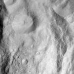 FC21A0013555_11303072624F4M.jpg