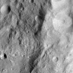 FC21A0013559_11303073750F1M.jpg