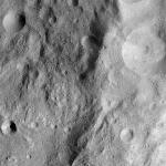 FC21A0013561_11303073803F3M.jpg