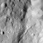 FC21A0013562_11303073809F4M.jpg