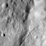 FC21A0013564_11303073825F6M.jpg