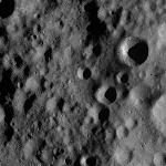 FC21A0013619_11303163706F4M.jpg
