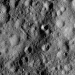 FC21A0013624_11303164435F2M.jpg
