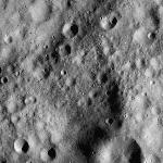 FC21A0013631_11303165032F8M.jpg