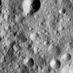 FC21A0013658_11303170848F4M.jpg