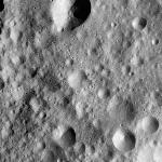 FC21A0013659_11303170855F5M.jpg