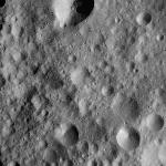 FC21A0013662_11303170915F8M.jpg