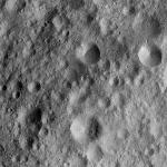 FC21A0013665_11303171443F3M.jpg