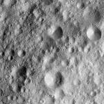 FC21A0013666_11303171450F4M.jpg