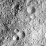 FC21A0013674_11303172051F5M.jpg