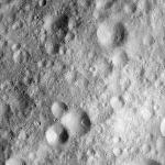 FC21A0013675_11303172058F4M.jpg