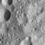 FC21A0013693_11303173322F2M.jpg