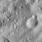 FC21A0013696_11303173835F2M.jpg