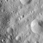 FC21A0013714_11303175048F4M.jpg