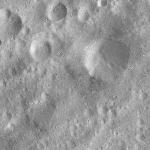 FC21A0013728_11303180235F2M.jpg