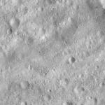 FC21A0013737_11303180857F6M.jpg
