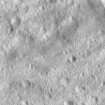 FC21A0013738_11303180905F5M.jpg