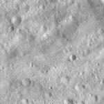 FC21A0013739_11303180913F4M.jpg