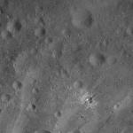 FC21A0013756_11303182120F3M.jpg