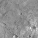 FC21A0013776_11303183840F2M.jpg