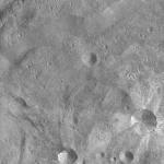 FC21A0013777_11303183849F3M.jpg
