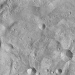 FC21A0013779_11303183902F5M.jpg