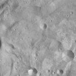 FC21A0013780_11303183910F6M.jpg
