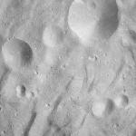 FC21A0013785_11303185053F6M.jpg