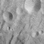 FC21A0013790_11303185136F1M.jpg
