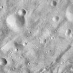 FC21A0013794_11303190254F4M.jpg