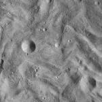 FC21A0013813_11303192719F7M.jpg