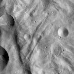 FC21A0013817_11303193854F6M.jpg