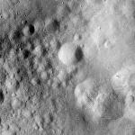 FC21A0013924_11304052910F6M.jpg