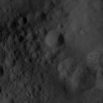 FC21A0013926_11304052923F8M.jpg