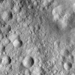 FC21A0013929_11304053452F3M.jpg