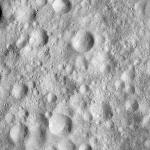 FC21A0013937_11304054054F6M.jpg