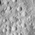 FC21A0013939_11304054106F4M.jpg