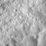 FC21A0013951_11304055242F8M.jpg