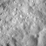 FC21A0013953_11304055255F6M.jpg