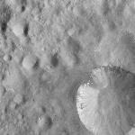 FC21A0013962_11304055856F4M.jpg