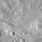 FC21A0014047_11304071049F8M.jpg
