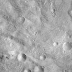 FC21A0014049_11304071106F6M.jpg