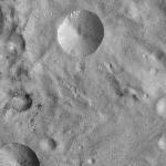 FC21A0014060_11304072323F6M.jpg