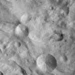 FC21A0014064_11304073458F7M.jpg