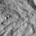 FC21A0014083_11304075922F4M.jpg