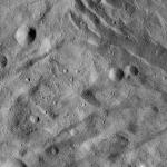 FC21A0014094_11304081129F8M.jpg