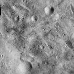 FC21A0014095_11304082242F8M.jpg